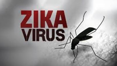 TP.HCM: 17 quận huyện ghi nhận ca bệnh do virút Zika